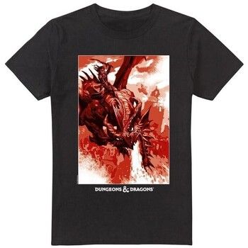 Dungeons & Dragons Camiseta Dragon Rider para hombre