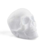 colour change skull light