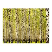 papel pintado 3d - bosque de abedules 250x193 cm