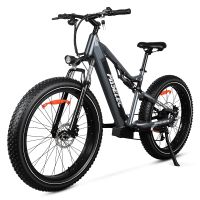 eu direct paselec tx19 plus bicicleta electrica 48v 192ah 500w pico 1000w velocidad maxima recomendada 25 kmh neum