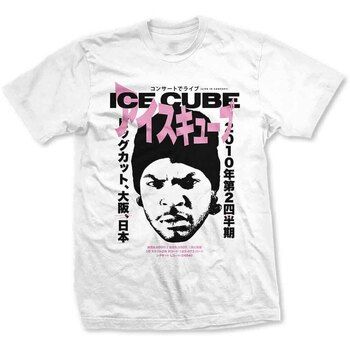Ice Cube Tops y Camisetas Beanie Kanji para hombre