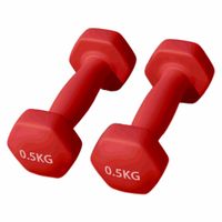 decodeko-juego de dos pesas de neoprene 1 2 3 4 5 6 8 10 kg set de mancuernas de gimnasio para entrenamiento fitness y musculacion material  iron with neoprene coat  weights for women and