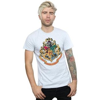 Harry Potter Camiseta Hogwarts para hombre