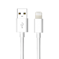 cable usb-a a lightning 1 mt netway