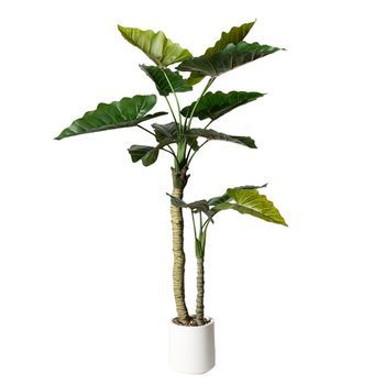 Planta Artificial Colocasia De 160 cm