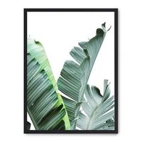 cuadro banana leaves ii