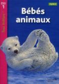 bebes animaux