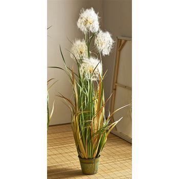 Planta Diente De Leon 120 Cms. 120 Cms