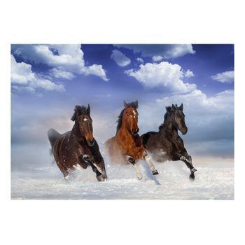 Papel Pintado 3d - Horses In The Snow (400x280 Cm)