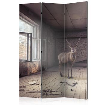 Biombo - Lost [room Dividers]
