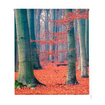Estoralis - Estor Enrollable Translucido | Estampado Paisajes | 150 X 180 Cm (ancho/alto) Tamaño Tela 147 X 175 Cm | P-3075 Unico
