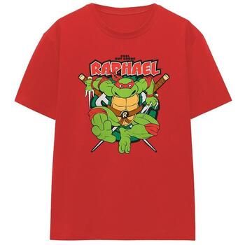 Teenage Mutant Ninja Turtles Camiseta Cool But Crude para mujer