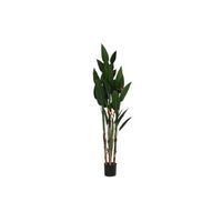 planta poliester pp 90x90x200 ave de paraiso verde