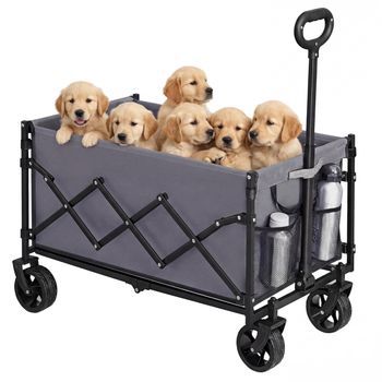 Carro De Mano Plegable Oxford 600d Refuerzo Inferior 150 Kg - Gris