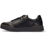salamander zapatillas - para mujer