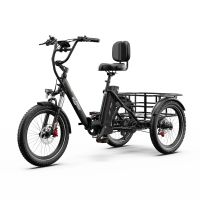 eu directo onesport ot03 pro triciclo electrico de carga controlado por app bateria 48v 18ah motor de 500w velocidad m