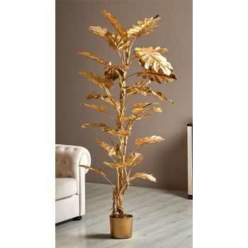 Planta Split Philo Oro 186 Cms. 78x186 Cms