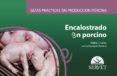 guias practicas en produccion porcina encalostrado en porcino