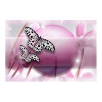 papel pintado 3d - fly butterfly 400x270 cm