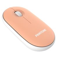 raton pantone pt-ms001e inalambrico rf 100 dpi naranja ergonomico