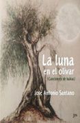 la luna en el olivar