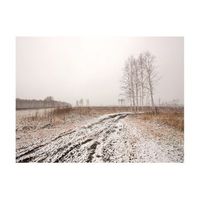 papel pintado 3d - winter field 400x309 cm