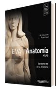 eva anatomia atlas