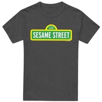 Sesame Street Camiseta Furry Friend Little use para mujer