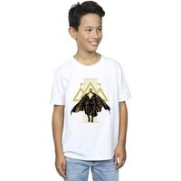 dc comics tops y camisetas bi8450 para nino