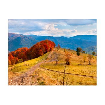 Papel Pintado 3d - Paisaje Oto?al Coloreado En Montes Cárpatos (350x270 Cm)