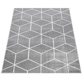 Alfombra moderna Bella gris  200x280 cm