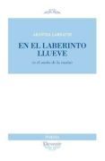 en el laberinto llueve