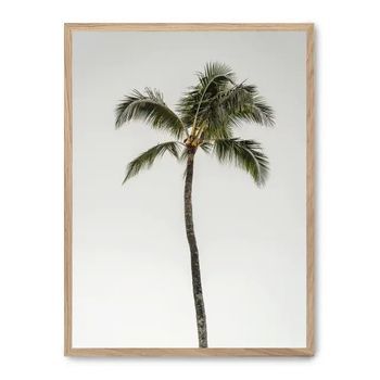 Cuadro Palm Tree By The Beach