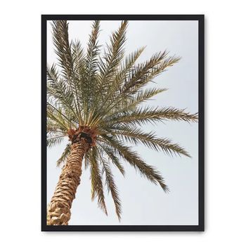 Cuadro Palm Beach Ii