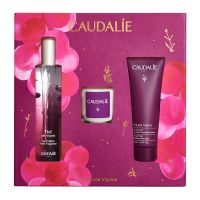 set agua fresca the des vignes 50ml  regalos