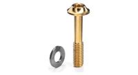 tornillo pinza freno flat mount titanio m5 torx 25 con arandela absolutablack oro