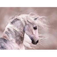 fotomural vinilo caballo blanco 500 x 300 cm