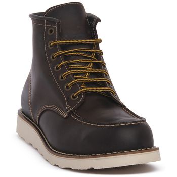 Priv Lab Botines RED MORO VASSA para hombre