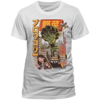 Ilustrata Camiseta PM812 para mujer
