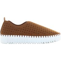 ska zapatos 26 owen sp para mujer