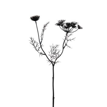 Tallo de zanahoria silvestre artificial negro h42