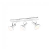 regleta de techo roxie 3 luces