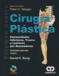 cirugía plástica. extremidades inferiores tronco y lesiones por quemad