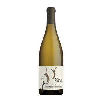 Clos De L'ecotard Vino Blanco Les Pentes Saumur-champigny 75 Cl 12.5% Vol.