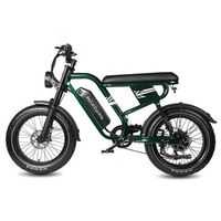 bicicleta electrica maxturn mx10 - motor 500w bateria 48v135ah  neumaticos de 20 freno de disco hidraulico - verde