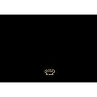 rangemaster classic clasp110bb stainless steel splashback stainless steel