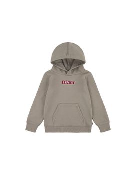 Sudadera Levi's Boxtab Hoodie Rusty Aluminum Niño