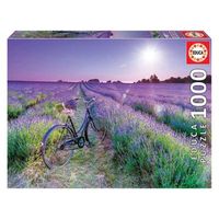 educa-1000 bicicleta en campo de lavanda color variado 19255