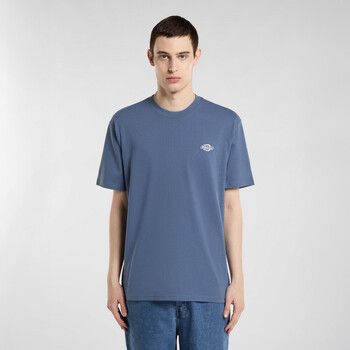 Dickies Camiseta Summerdale ss tee para hombre