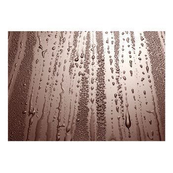Papel Pintado 3d - Llovizna De Oto?o (150x105 Cm)